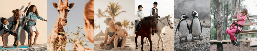 SitSnapp Kids Custom Tours Cape Town